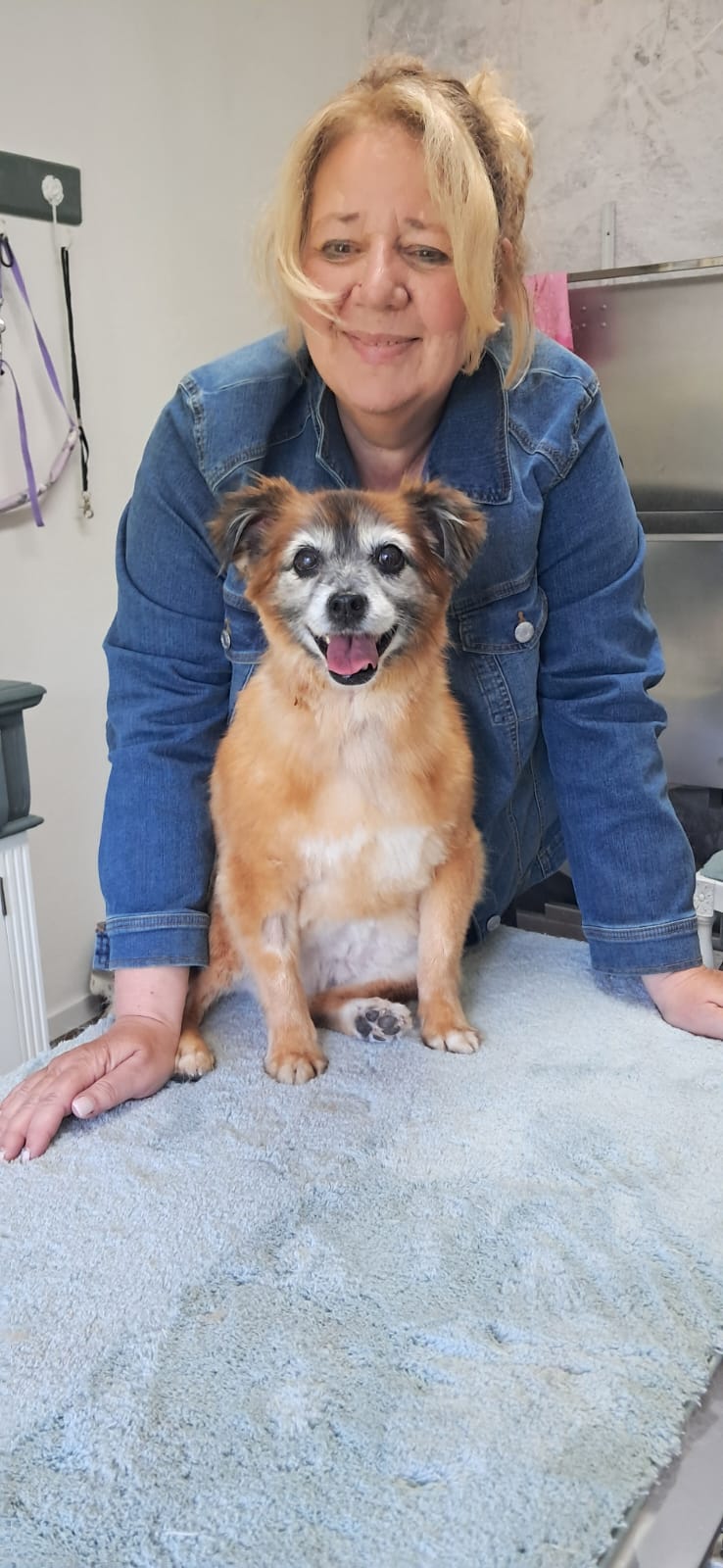 Hundetheraphie